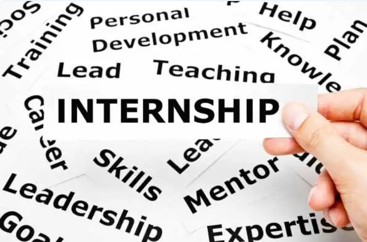 Internship Image
